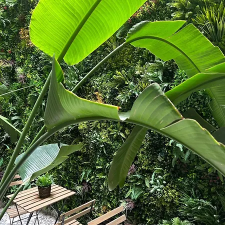 Bh San Francisco Szálloda Alicante