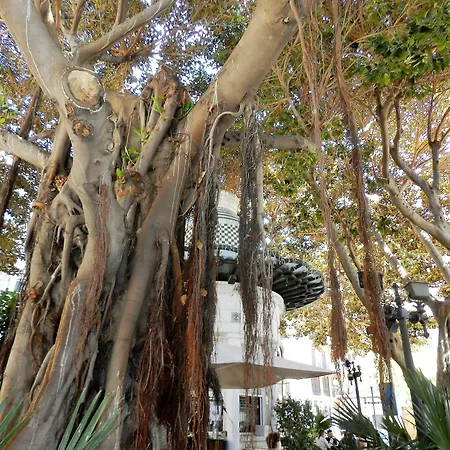 Bh San Francisco 3* Alicante